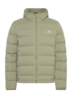 adidas Sportswear HELIONIC STRETCH HOODED DOWN JACKET - Jakker - TENGRN / green