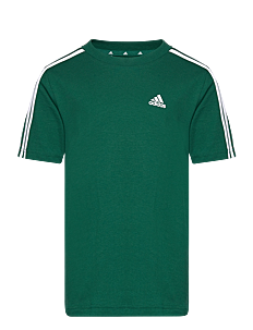 adidas Sportswear U 3S TEE - T-skjorter - CGREEN/WHITE / green