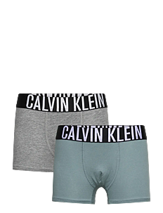 Calvin Klein 2PK TRUNK - Underbukser - TROOPER/GREYHEATHER / grey