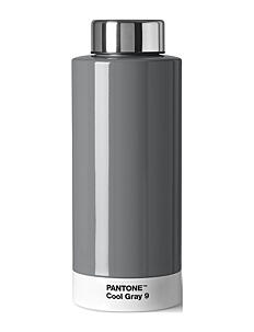 PANTONE THERMO DRINKING BOTTLE - Termoflasker - COOL GREY 009 / grey