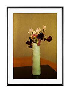 Democratic Gallery Poster Flower Vase - Botanisk - ORANGE / orange