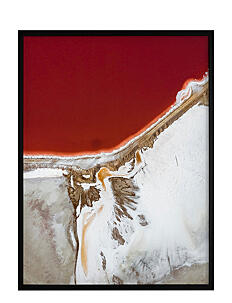 Democratic Gallery Poster Earth and Nature - Natur - RED / red