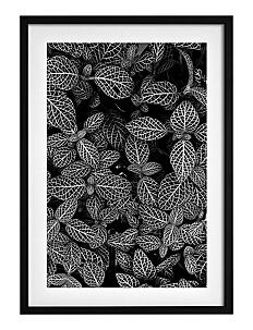 Democratic Gallery Poster Abstract Plant - Botanisk - BLACK / black