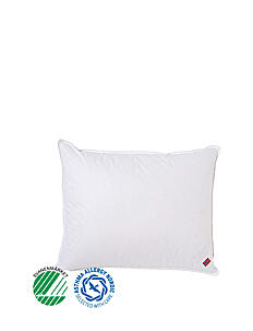 Høie of Scandinavia  Saga medium high down pillow - Tekstiler - WHITE / white