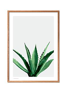 Poster & Frame Agave - Botanisk - MULTI-COLORED / multi