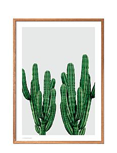 Poster & Frame Cactus - Botanisk - MULTI-COLORED / multi