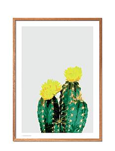 Poster & Frame Opuntia Cactus - Botanisk - MULTI-COLORED / multi