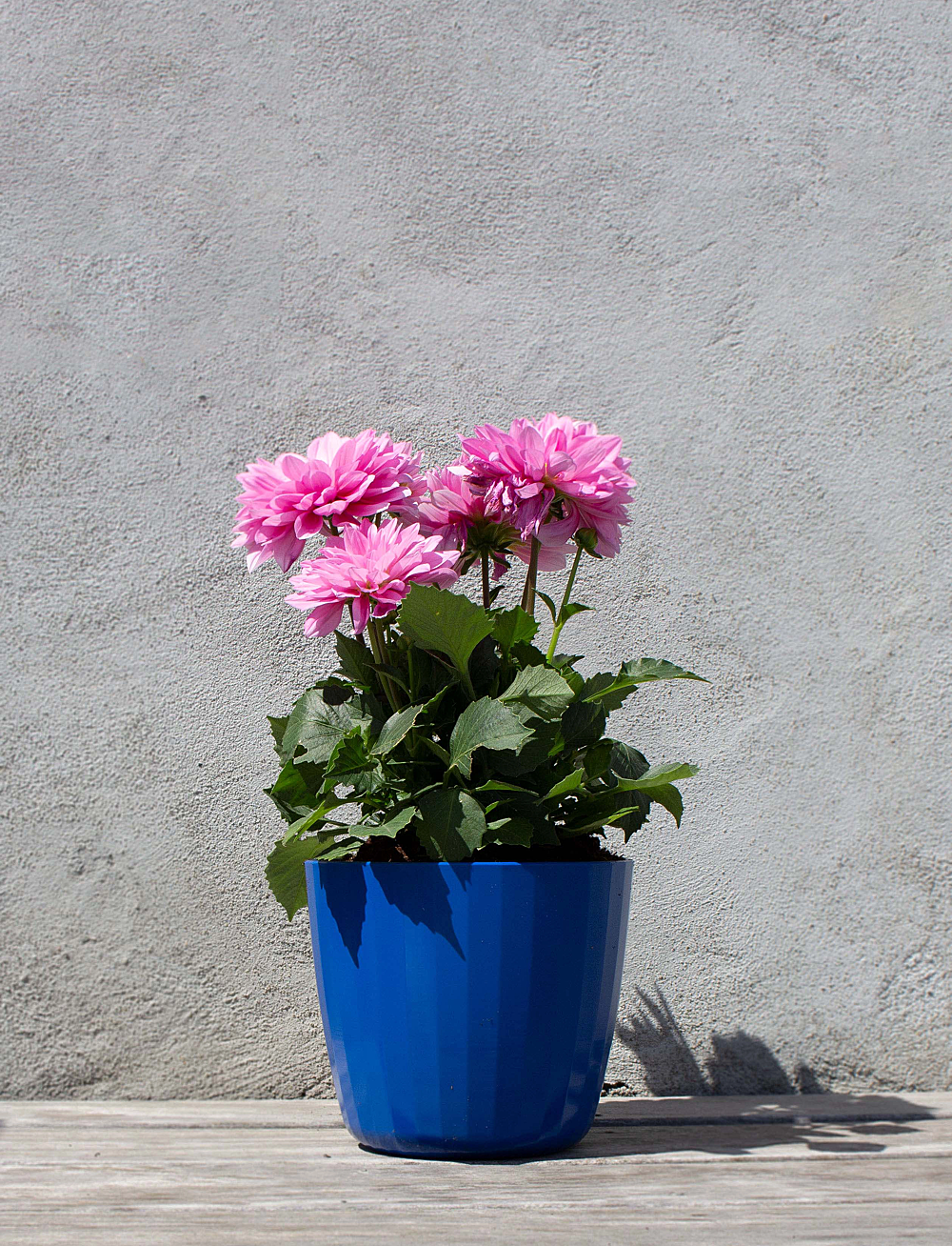 SMALLrevolution - Berta - Flowerpot - dekorasjon - pp glacier - 1