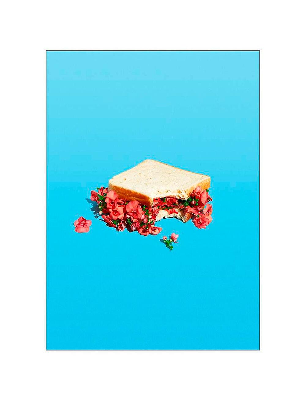 Supermercat - Flower sandwich - fotografier - multi-colored - 0