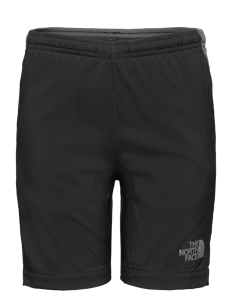 The North Face B REACTOR SHORT - Shorts - ASPHALT GREY/SMOKED PEA / black